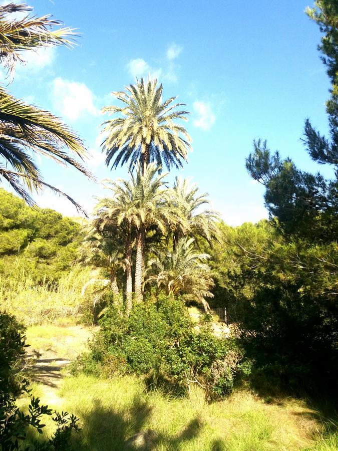 Apartament Playa Arenales Leilighet Arenales del Sol Eksteriør bilde